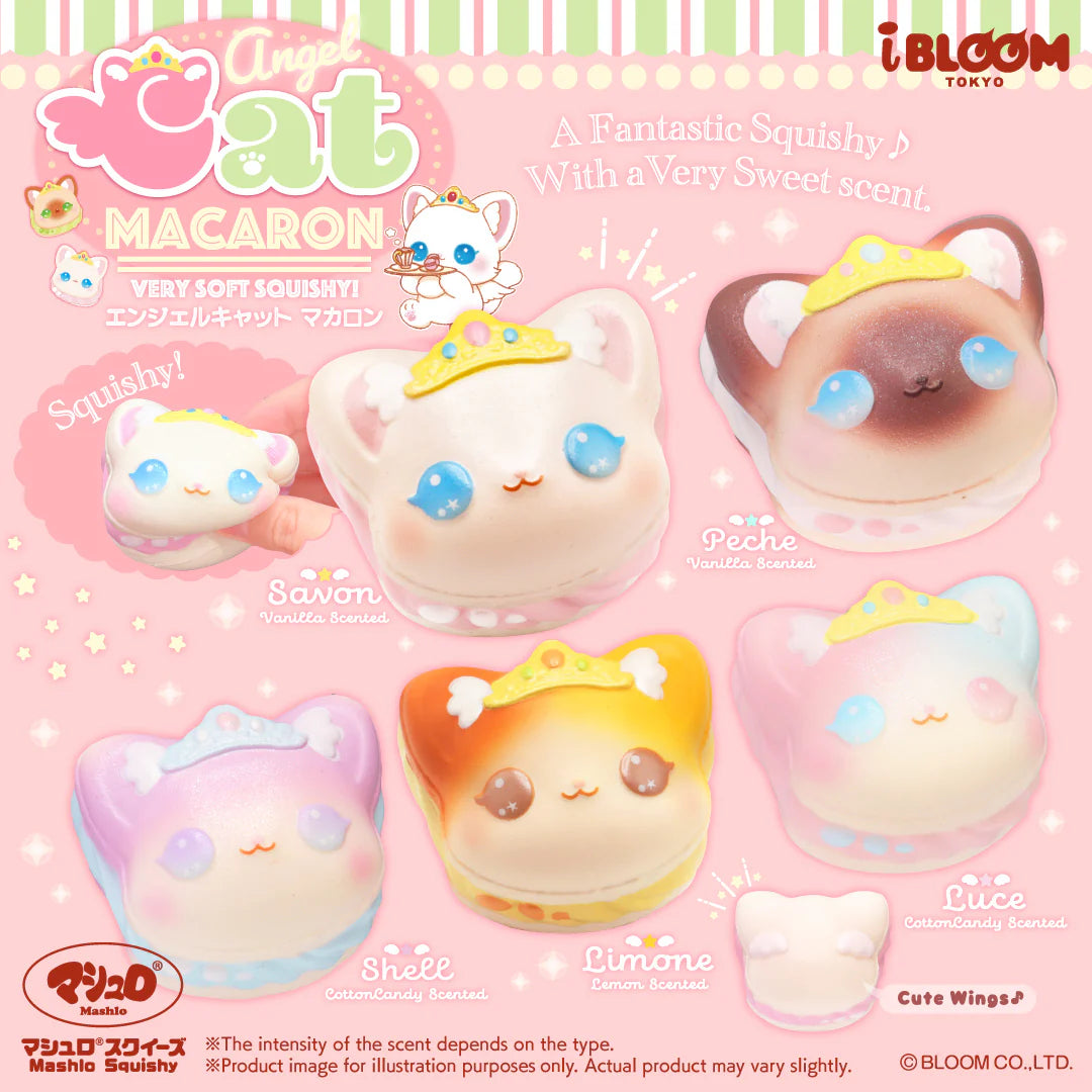 iBLOOM Angel Cat Macaron