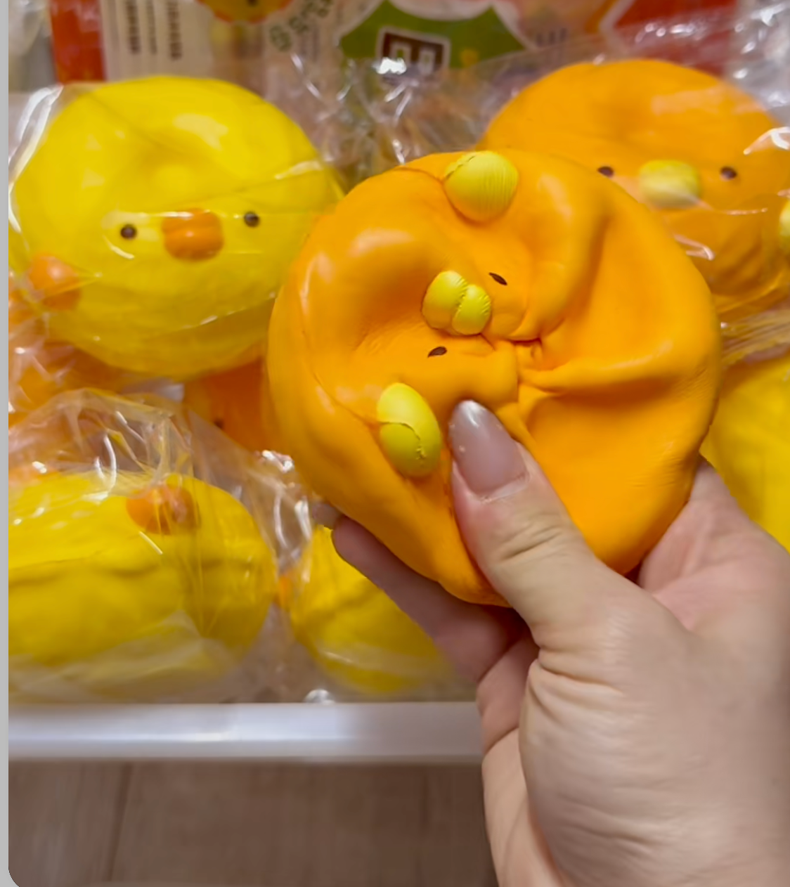 Mido Duck Bagel